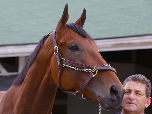 American Pharoah galopó el Haskell Invitational en Monmouth Park