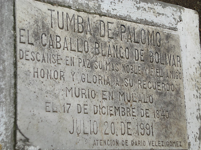 tumba-palomo