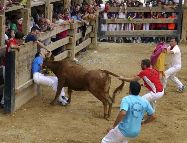 Fotografía facilitada por su autor, Iñaki Marugan Agesta, del recortador de la localidad riojana de Calahorra Miguel Ruiz Pérez en el momento de ser corneado por una vaquilla cuando participaba en una exhibición de anillas ayer en Lerin (Navarra), que le ocasionó la muerte. Al parecer Miguel Ruiz resbaló en la arena y fue empitonado en el abdomen, una herida que las asistencias consideraron de gravedad desde el primer momento, por lo que tras valorar la posibilidad de ingresarle en el hospital de Estella finalmente se optó por su traslado en una ambulancia medicalizada al Complejo Hospitalario de Navarra en Pamplona en el que falleció anoche. EFE/Iñaki Marugan Agesta