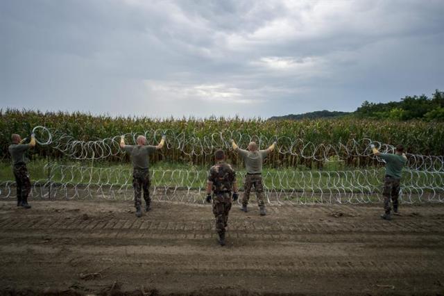 Soldados instalan una alambrada en la frontera entre Hungría y Serbia en Hercegszanto (Hungría) hoy, 25 de agosto de 2015. Hungría insiste en terminar de construir en los próximos días el llamado "cierre técnico" de su sureña frontera con Serbia, es decir, una valla de alambrado, ante la llegada de miles de refugiados, informó ayer el portal "hvg". En lo que va del año, el número de refugiados que ha llegado a Hungría supera los 110.000, aunque su gran mayoría ha abandonado el país pocos días después de su llegada, rumbo hacia países más ricos de la UE, como Austria o Alemania. EFE/Tamas Soki 