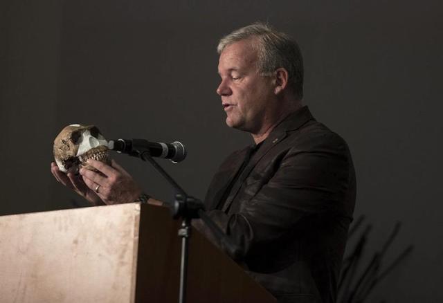 El profesor Lee Burger de la Universidad de Witwatersrand sostiene el cráneo del Homo Naledi durante su presentación en Johannesburgo (Sudáfrica) hoy, 10 de septiembre de 2015. Un equipo internacional de científicos ha descrito por primera vez al Homo naledi, una nueva especie de homínido que tiene rasgos de Australopithecus y que podría ser el ejemplar más antiguo del género Homo. Homo naledi fue descubierto en 2013 en la cámara Dinaledi de la cueva Rising Star de Sudáfrica (cerca de Johannesburgo) y sus restos aparecieron entre más de 1.550 fósiles, lo que convierte a este yacimiento en un tesoro paleontológico. EFE/Shiraaz Mohamed