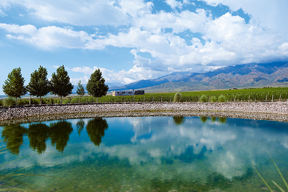 Valle de Uco: En busca del mejor Malbec