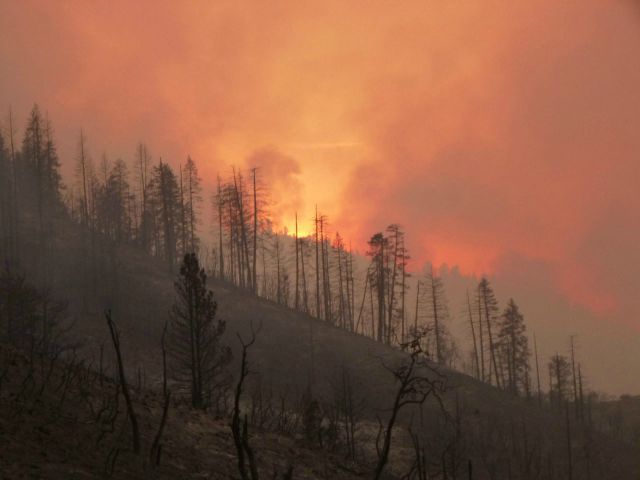 Foto: EFE/EPA/US Forest Service HANDOUT EDITORIAL USE ONLY