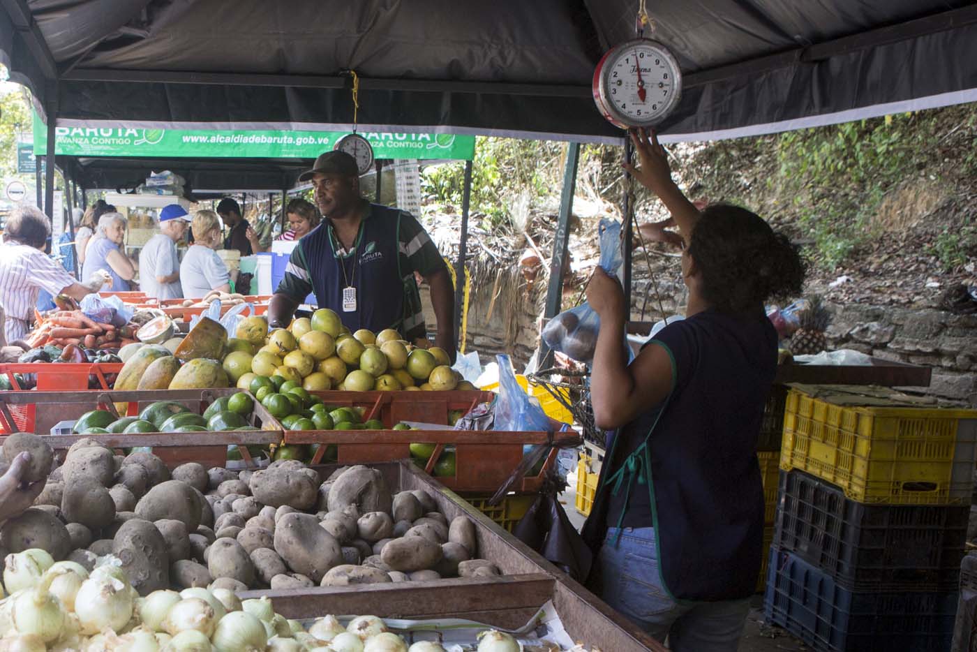 Canasta Básica Familiar subió a 78.611,65 bolívares en agosto