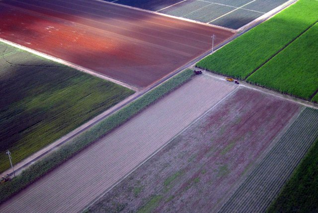 Foto: La caña de azúcar y otros cultivos se pueden ver en las granjas cerca de la localidad de Bundaberg en Queensland, Australia, en esta foto de archivo del 09 de junio 2015. Los ministros de comercio del Pacífico han alcanzado un acuerdo sobre el pacto de liberalización del comercio más radical en una generación que reducirá las barreras al comercio y establecer normas comunes para los 12 países, un funcionario familiarizado con las conversaciones dijo el 5 de octubre de 2015. La Asociación Trans-Pacífico afectaría 40 por ciento de la economía mundial y podría presentarse como un logro legado que define para el presidente estadounidense, Barack Obama, si es ratificado por el Congreso. Los legisladores en otros países del TPP también deben aprobar el acuerdo. REUTERS 