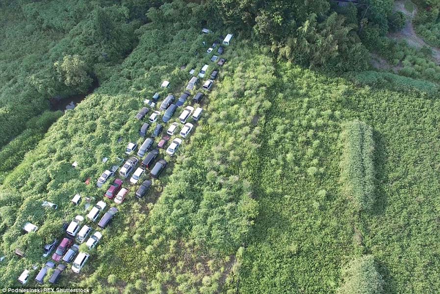 Fukushima: Devastado por el hombre… ¡Reclamado por la naturaleza! (Fotoreportaje)