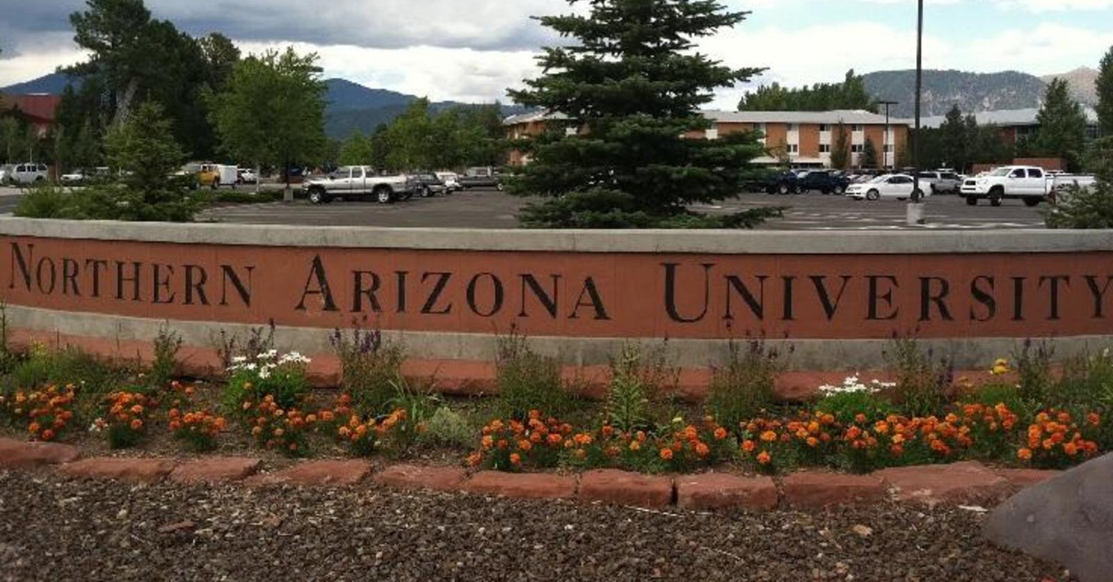 Un muerto y tres heridos deja tiroteo en universidad de Arizona