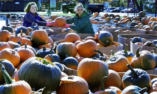 Un festival de calabazas de Halloween muy lejos del récord