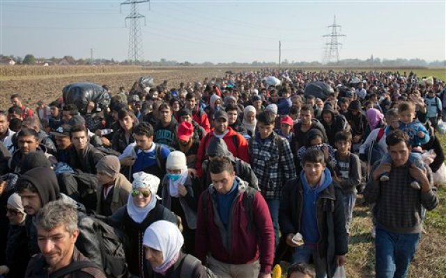 Migrantes caminando por un campo tras cruzar la frontera desde Croacia, en Rigonce, Eslovenia, el lunes 26 de octubre de 2015. Miles de personas intentaban llegar al centro y norte de Europa a través de los Balcanes, pero a menudo tienen que esperar varios días en el lodo y la lluvia en las fronteras serbia, croata y eslovena. (AP Foto/Darko Bandic)