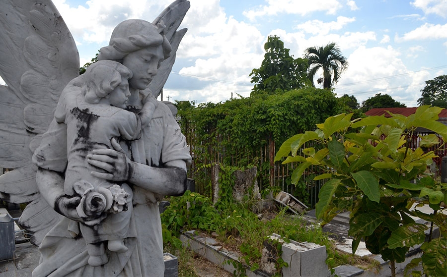 En Maturín el cementerio Municipal Juan Lucianni está deplorable