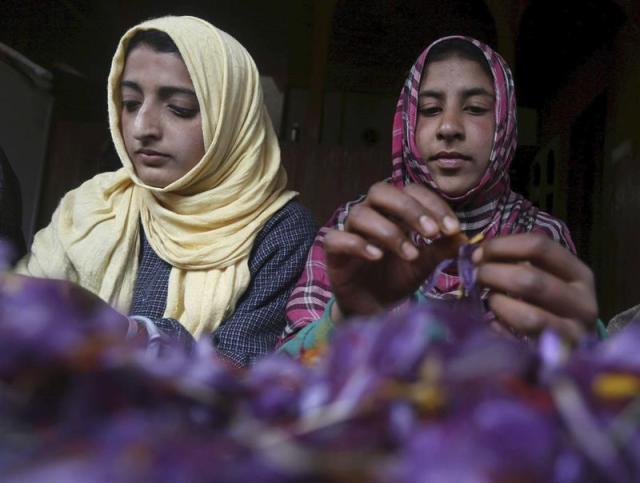 Mujeres separan las hebras del azafrán tras recoger las flores en Pampore (India) a unos 25 km de Srinagar, capital de verano de Cachemira hoy, 3 de noviembre de 2015. EFE/Farooq Khan