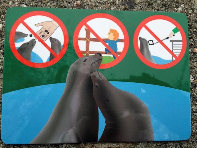 Fotografía facilitada por el Zoo de Viena de uno de los carteles en los que se prohibe el uso del paloselfi en los recintos de focas y pingüinos, para evitar así las molestias que sufren los animales cuando los visitantes usan ese mecanismo para tomar fotos de cerca. EFE