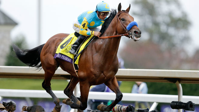 American Pharoah es el nuevo semental del Haras Ashford Stud