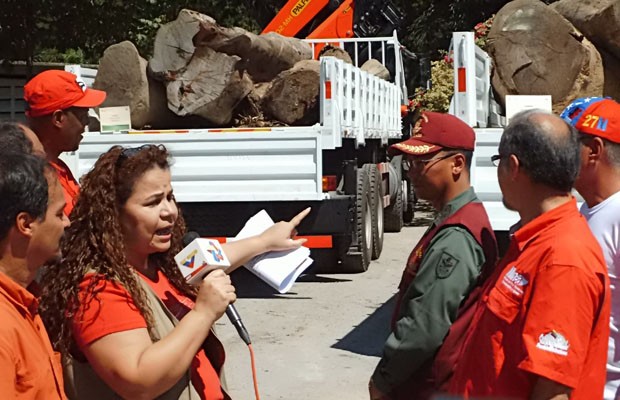 Al menos 94 metros de madera fueron adjudicados a cárceles del país para carpinteria