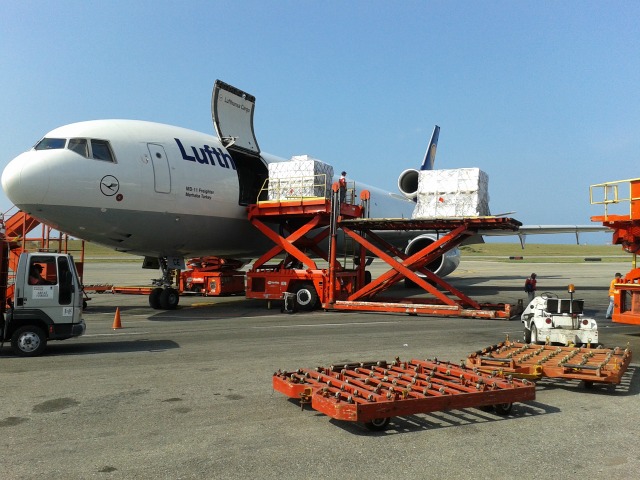 El MD11 de Lufhansa Cargo en Maiquetía