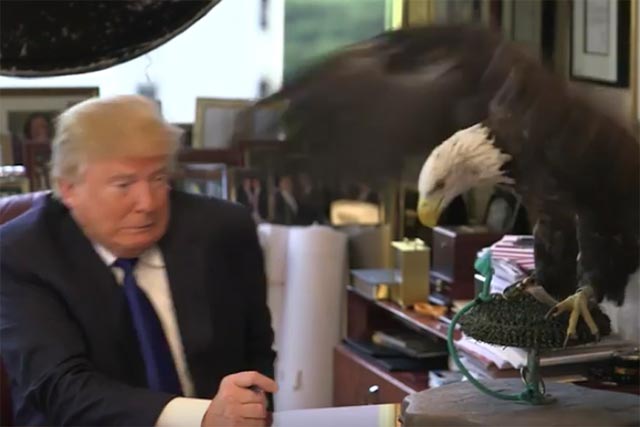 Trump-aguila