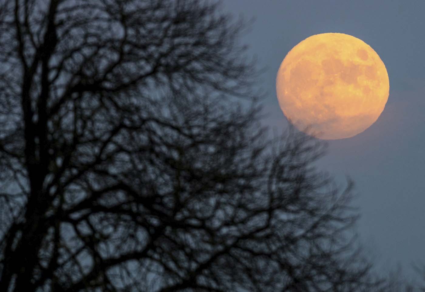 La luna llena de Escorpio será la primera superluna del 2021: ¿Cómo puedes sacarle provecho? (Horóscopo)