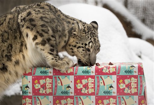 Dan regalos de Navidad a animales del zoológico de Nebraska