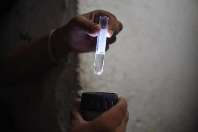 Health ministry workers show a larva of Aedes aegypti mosquito, vector of the dengue, Zika and Chikungunya viruses in the Bethania neighborhood in Guatemala City on February 2, 2016. World health officials mobilized with emergency response plans and funding pleas Tuesday as fears grow that the Zika virus, blamed for a surge in the number of brain-damaged babies, could spread globally and threaten the Summer Olympics. AFP PHOTO Johan ORDONEZ / AFP / JOHAN ORDONEZ