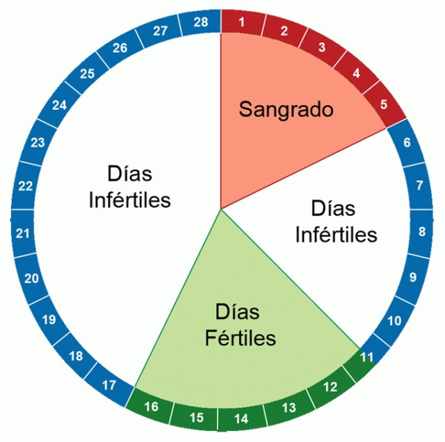 Cómo-saber-cuáles-son-los-días-fértiles-de-la-mujer-2