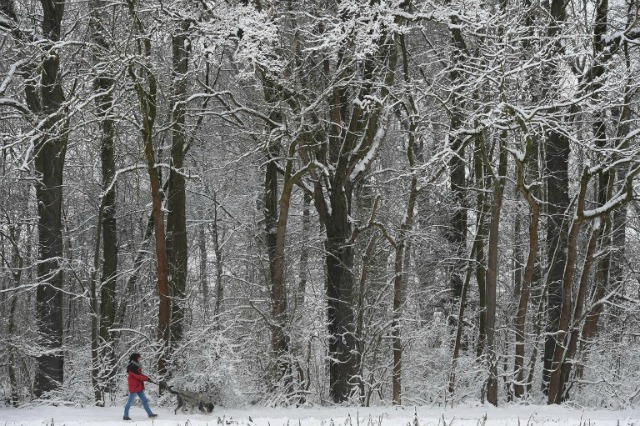 Según la Masonería, qué significa el solsticio de invierno