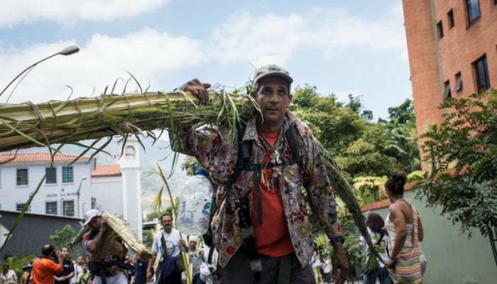 Palmeros de Chacao bajan de El Ávila