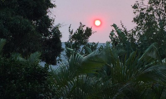 Biólogo aseguró que calima en Venezuela podría evitarse