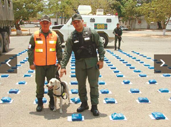 Incautaron 97 kilos de marihuana sintética en El Sombrero, estado Guárico