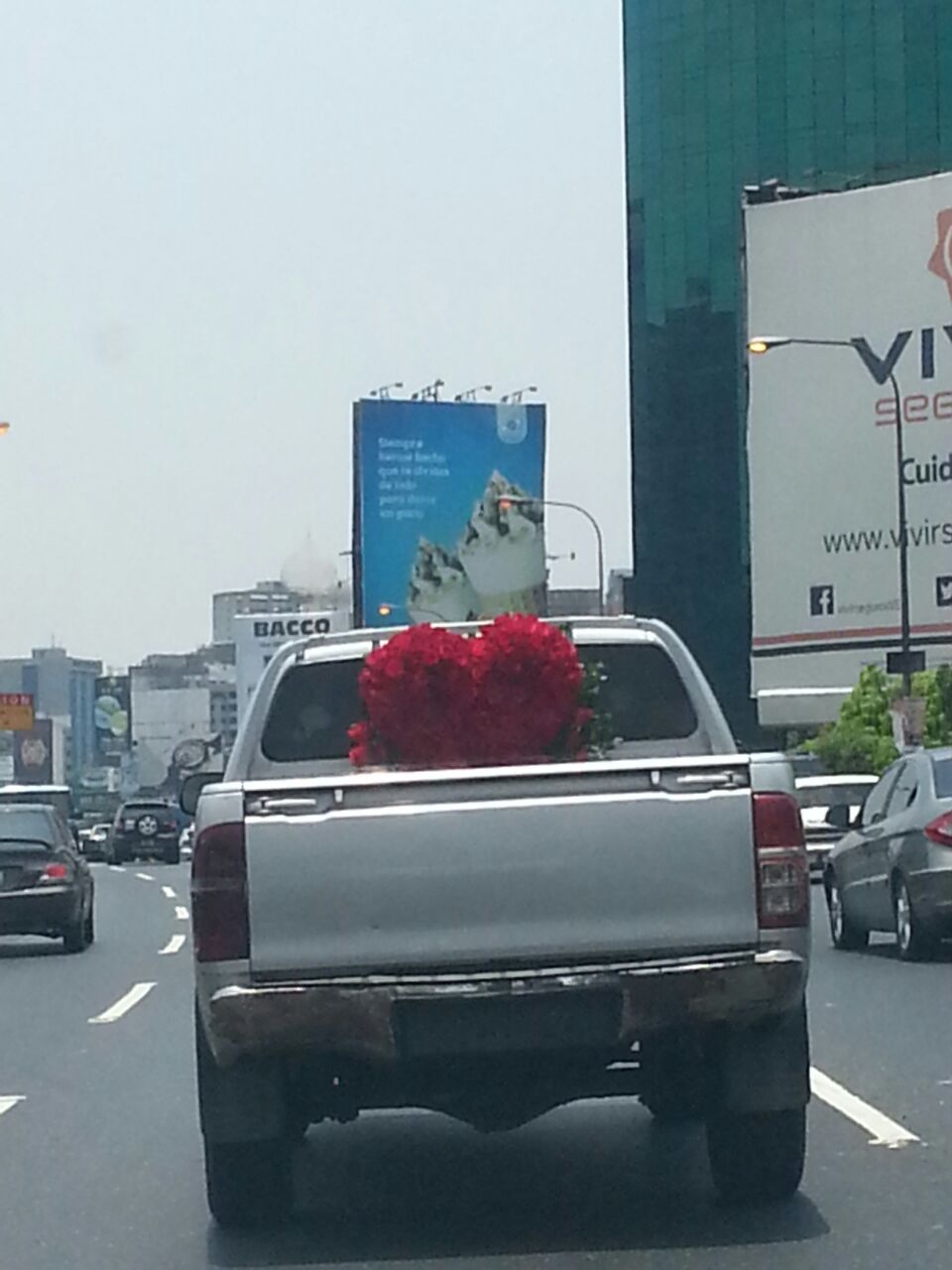 El burro e´ramo de rosas, en forma de corazón, que envió este caraqueño (FOTO)