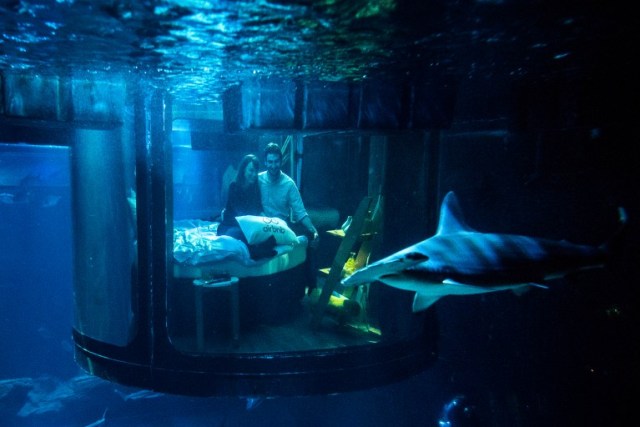 FRANCE-TOURISM-AQUARIUM