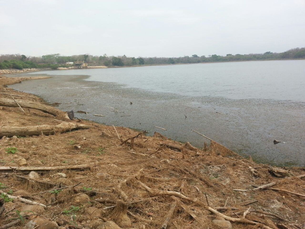 Embalse de Burro Negro tiene 40 por ciento menos de su capacidad por falta de mantenimiento