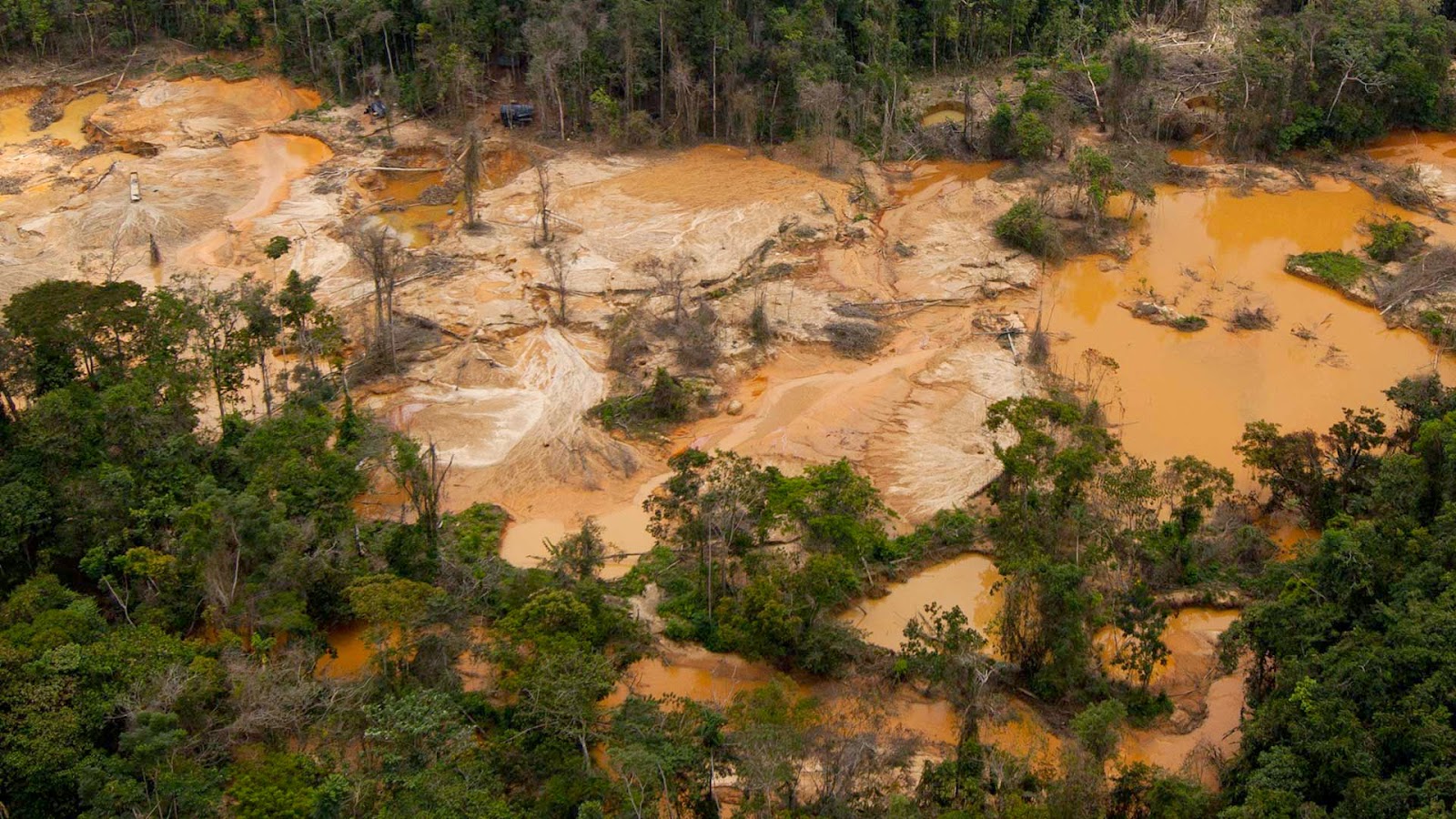 Proyecto Venezuela: Camimpeg   viola la constitución y depreda la región Guayana