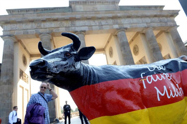 Una escultura de una vaca de la Federación de Ganaderos Alemanes (BDM) se expone durante la manifestación contra el precio de la leche en la Puerta de Brandeburgo en Berlín, Alemania, hoy, 30 de mayo de 2016. El ministro alemán de Agricultura, Christian Schmidt, se reunió hoy con representantes del sector lácteo, en medio de fuertes protestas por la caída del precio de la leche. La reunión, bautizada como "la cumbre de la leche", se abrió en la sede del ministerio con asistencia de ganaderos, lecheras y mayoristas, en busca de soluciones a la crisis que atraviesa ese sector. El precio de la leche ha caído hasta situarse actualmente por debajo los 20 céntimos por litro, mientras que se considera que el mínimo que precisan los ganaderos para cubrir los costes de las explotaciones es de 35 céntimos de euro. EFE/Maurizio Gambarini