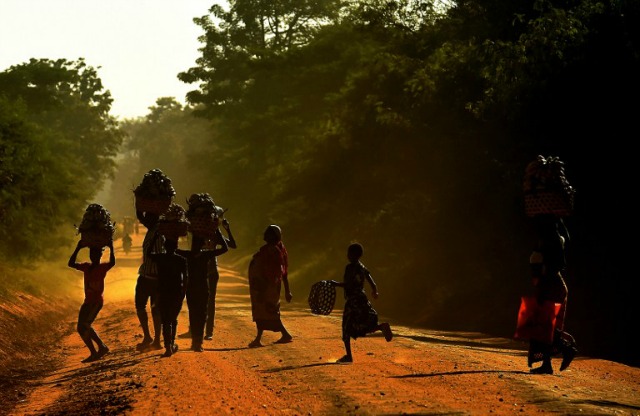 Aldeanos que llevan los plátanos cosechados cruzan la carretera en Morogoro el 17 de junio de 2016. CARL DE SOUZA / AFP