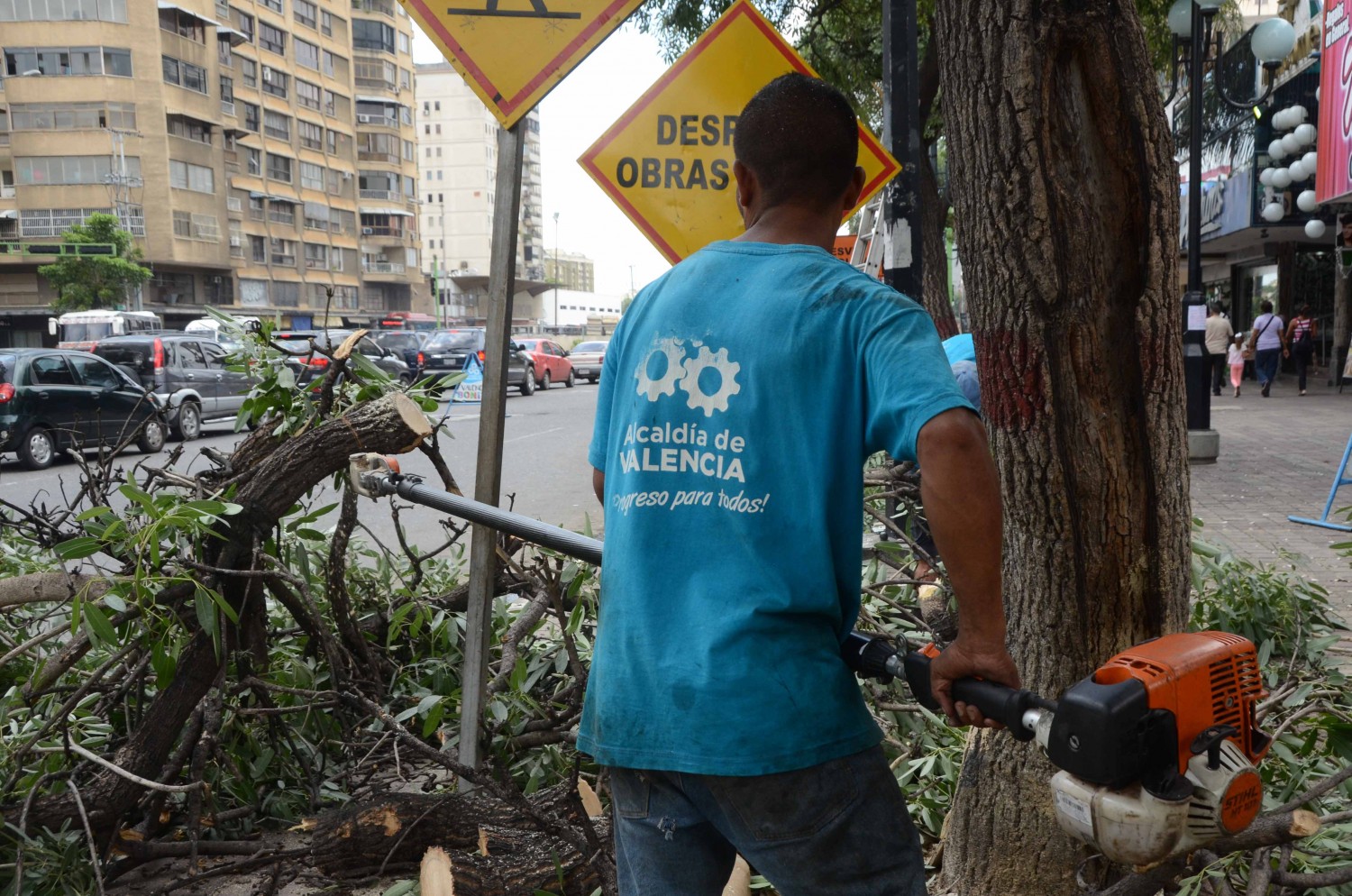 Alcaldía de Valencia realizó poda de mantenimiento en Avenida Bolívar