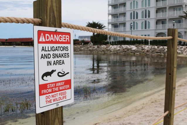 ARCHIVO - En esta fotografía del 17 de junio de 2016, provista por Walt Disney World Resort, se ve un letrero que advierte de la presencia de caimanes y serpientes en el agua afuera de un hotel en la zona turística Walt Disney World en Lake Buena Vista, Florida, el cual fue colocado después de que un caimán mató a un niño de dos años. Antes de la tragedia, en la zona había letreros que desaconsejaban nadar, pero no mencionaban nada sobre la presencia de cocodrilos. (Walt Disney World Resort vía AP, archivo)