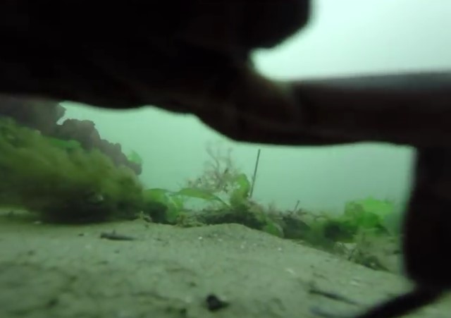 Increíbles imágenes filmadas por una GoPro que pasó casi un año en el fondo del mar