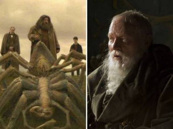 04-la-voz-de-aragog-y-el-grand-maester-pycelle