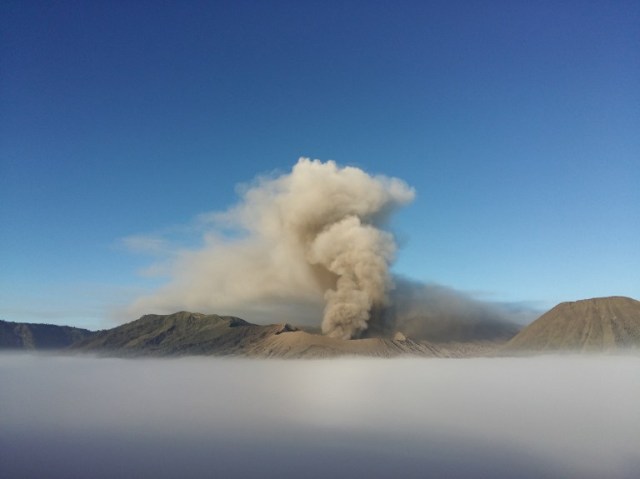 In this photo taken from Probolinggo in Indonesia's East Java province, Mount Bromo spews ashes into the air during a volcanic eruption on July 14, 2016. The volcano spewed a column of ash by up to 1,200 meters into the sky and forced the closing all activities at the nearby Abdurrahman Saleh airport in Malang district, according to local reports stating the national disaster management agency. Bromo lies within Bromo-Tengger-Semeru National Park, a huge caldera containing several volcanoes. / AFP PHOTO / BAY ISMOYO