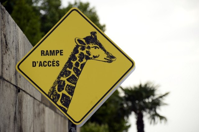 A picture taken in central Paris, on July 20, 2016 in Paris Plage (Paris Beach) on the bank of the Seine river shows a sign reading "access ramp". The 15th edition of Paris Plage will run until September 4, 2016. / AFP PHOTO / BERTRAND GUAY