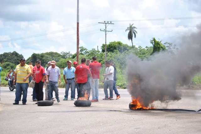 tintoribarinas