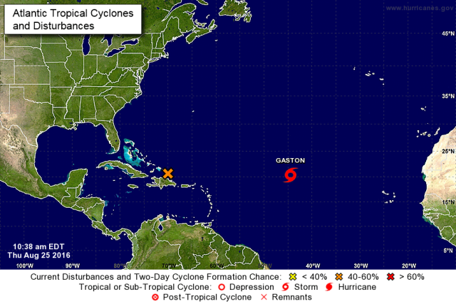 tormentalester