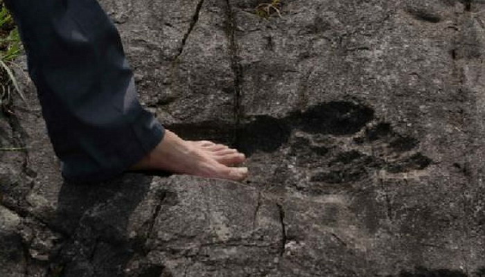 Encuentran huellas de gigantes fosilizadas en China (Fotos)