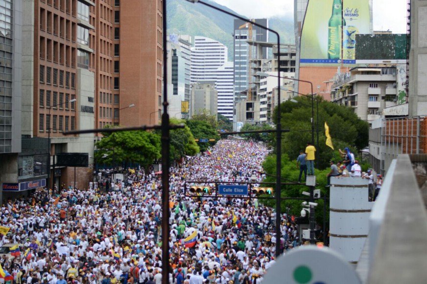 Hasta un perico bailó al son de los tambores de la “Toma de Caracas” (Video)