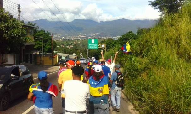 tachira1 - copia