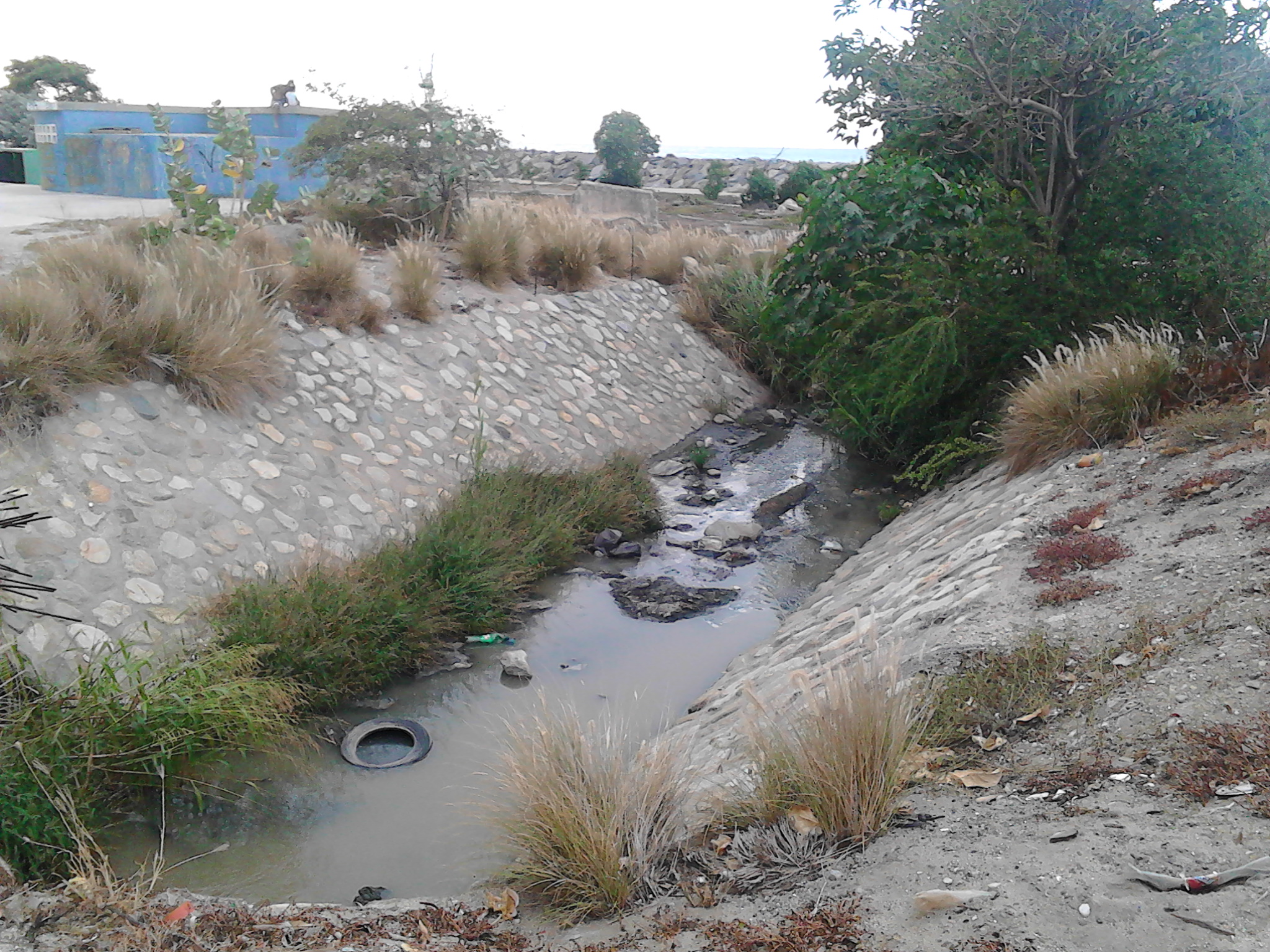 Cloacas desembocan en las playas de Camuri Chico y espanta a los playeros