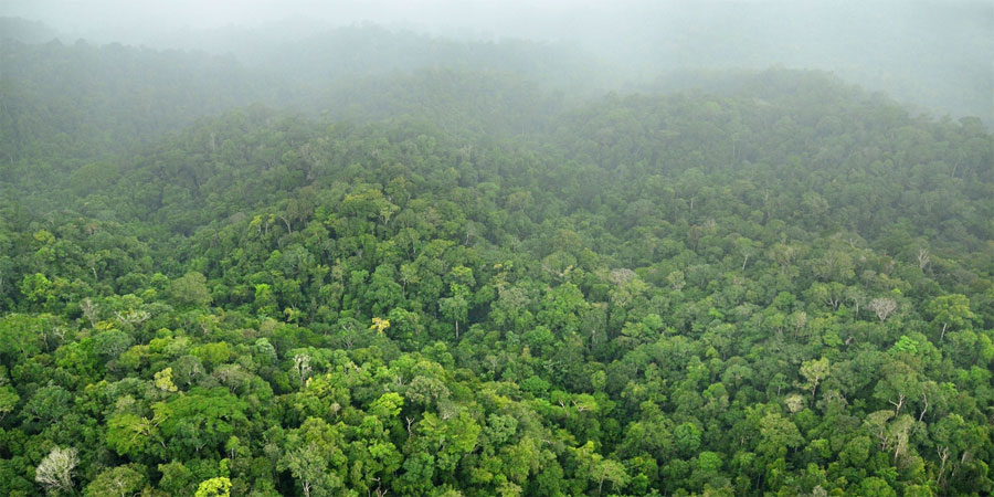 La naturaleza ya no puede mantener a los humanos