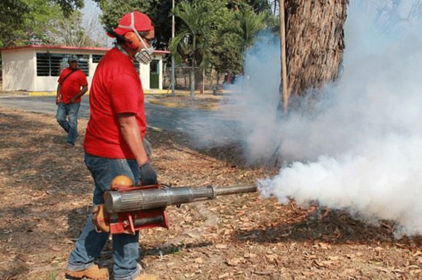 Alerta epidemiológica en Táchira por fiebre amarilla y encefalitis equina