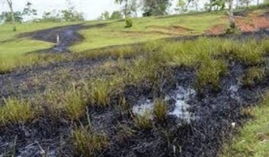 Pobladores denuncian que la situación afectó la fauna y flora del lugarFoto: Cortesía