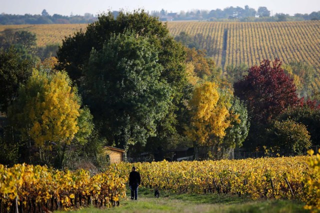 2016-11-01T165102Z_1491415332_D1BEUKJATAAA_RTRMADP_3_FRANCE-WEATHER